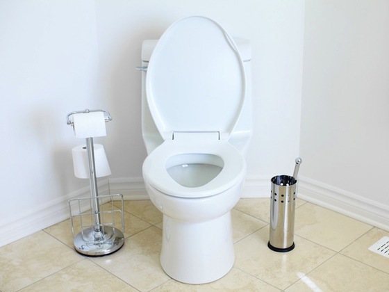 DeKalb Watershed Management Rebates more than $180,000 for Low-Flow Toilet Retrofits