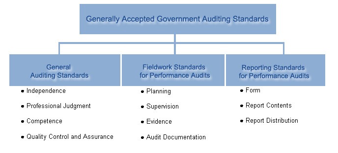 Audit Standards.jpg