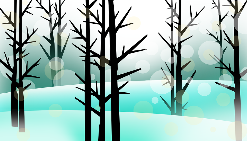 forest-160954_960_720.png