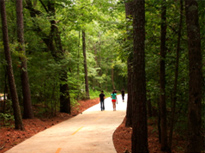 photo - trail at Arabia Mountain