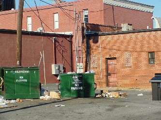 Commercial Dumpster area not being properly maintained.