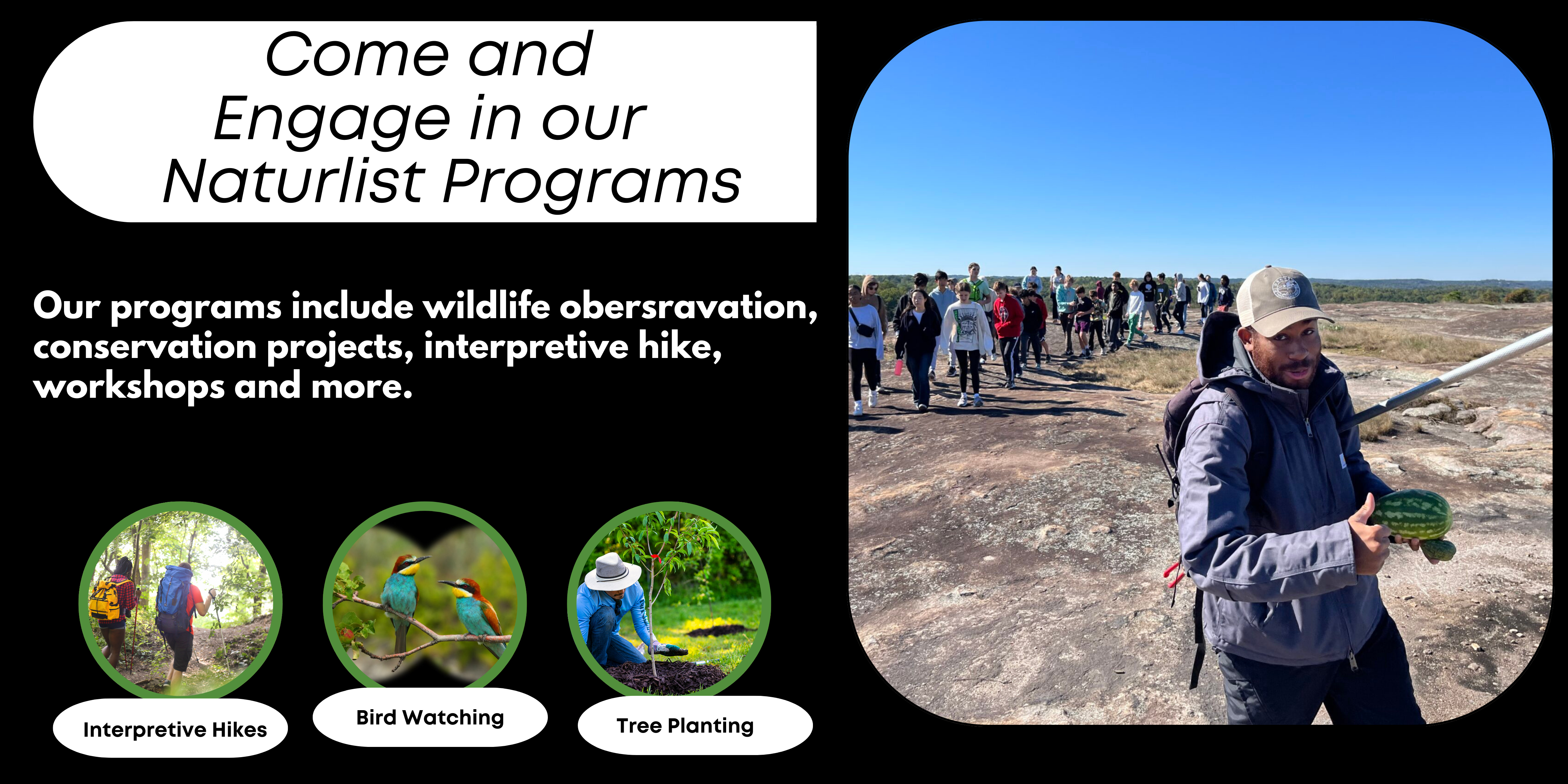Naturalist Banner