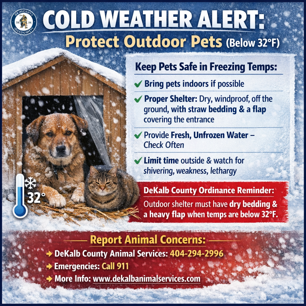 Cold Weather Alert: Protect Outdoor Pets (Below 32°F)