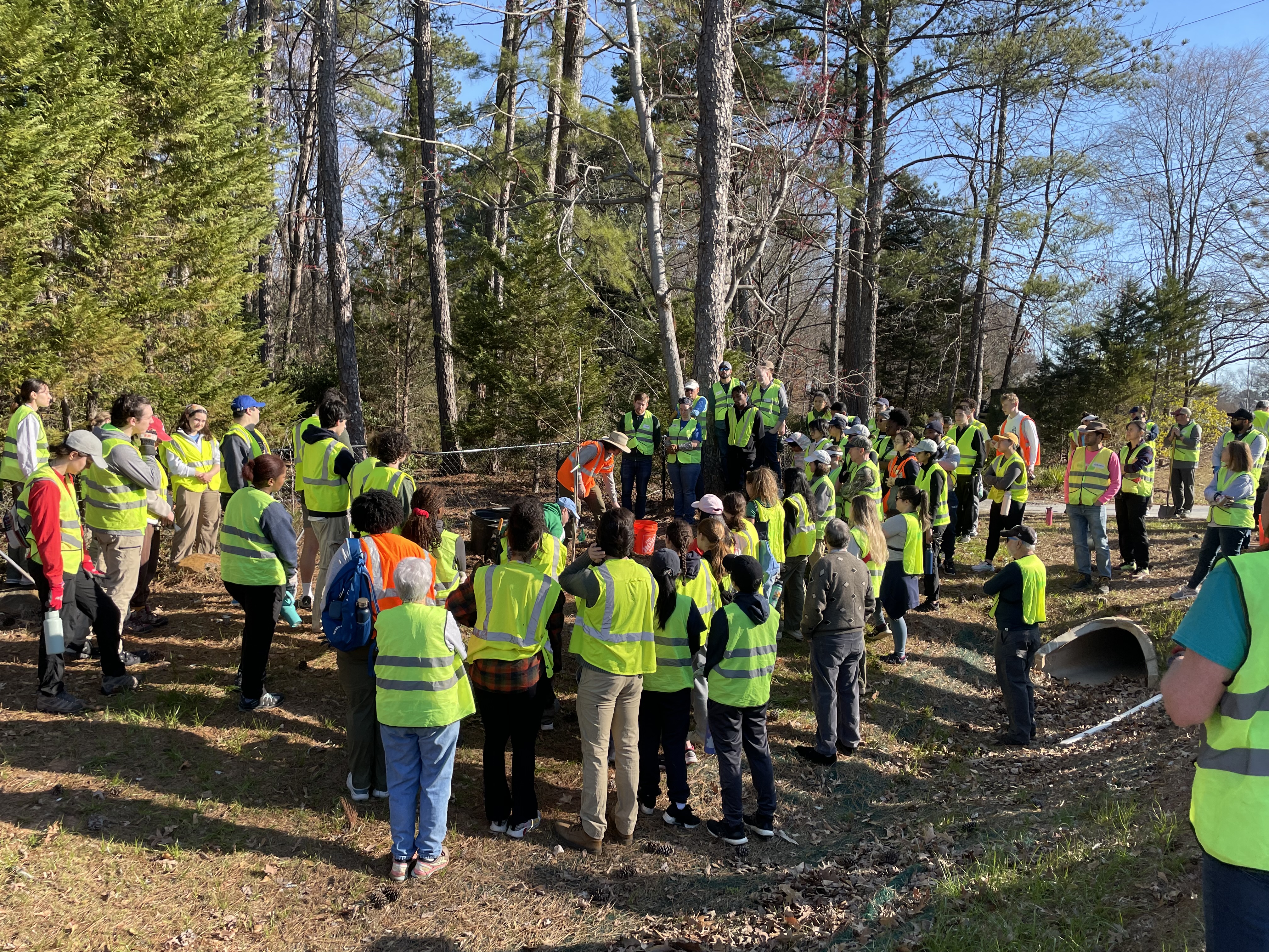 Trees Atlanta Lavista Road Tree Planting 2025