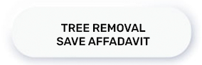 save affadavit