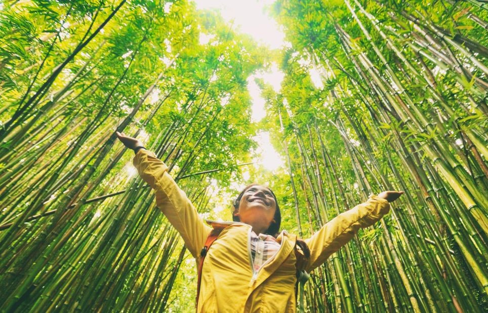 Woman raising arms in the middle of a forest.