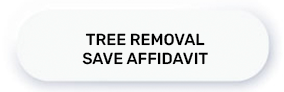 Safe Affidavit