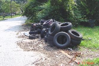 Scrap tires illegally dumped.