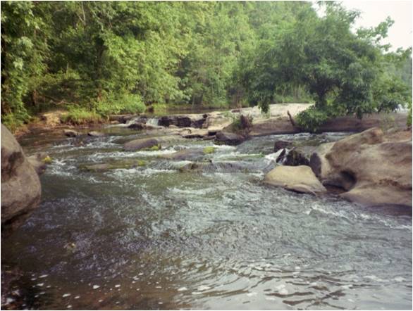 chattahoochee pic.jpg