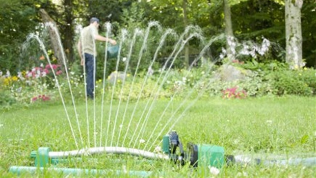 water ban li-lawn-water.jpg