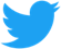 Twitter Logo.png