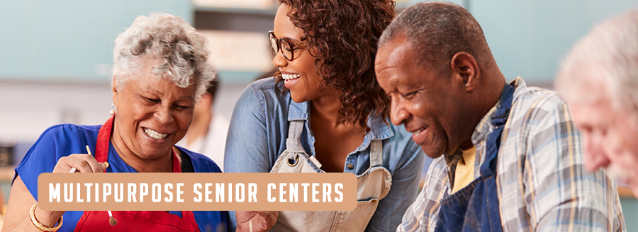 multi-purpose-senior-centers-dekalb-county-ga