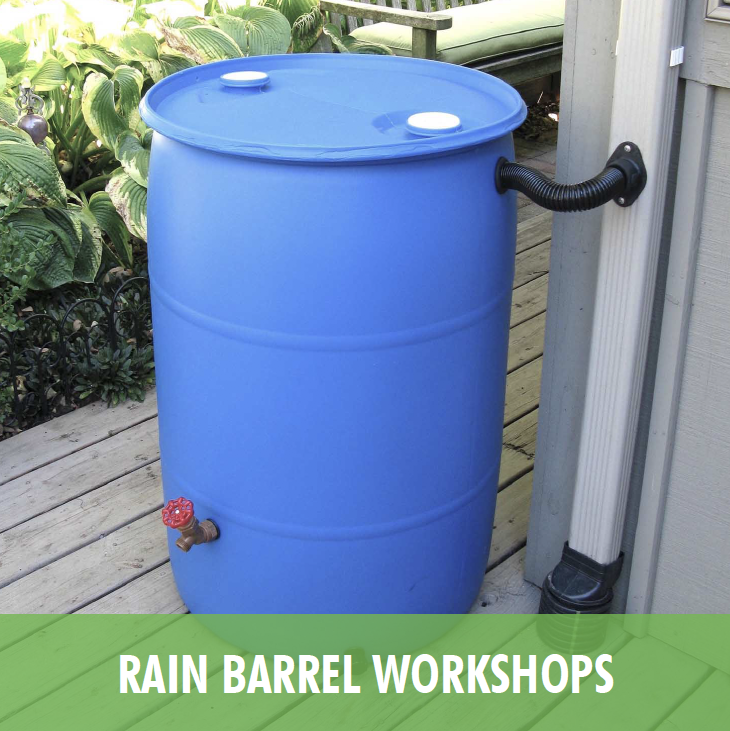Rain Barrel Workshops