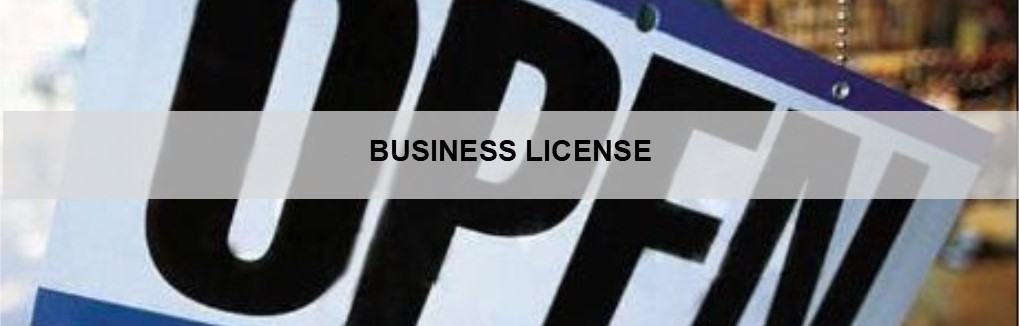 Business License Checklists, Guides, and Calendars*** | DeKalb ...