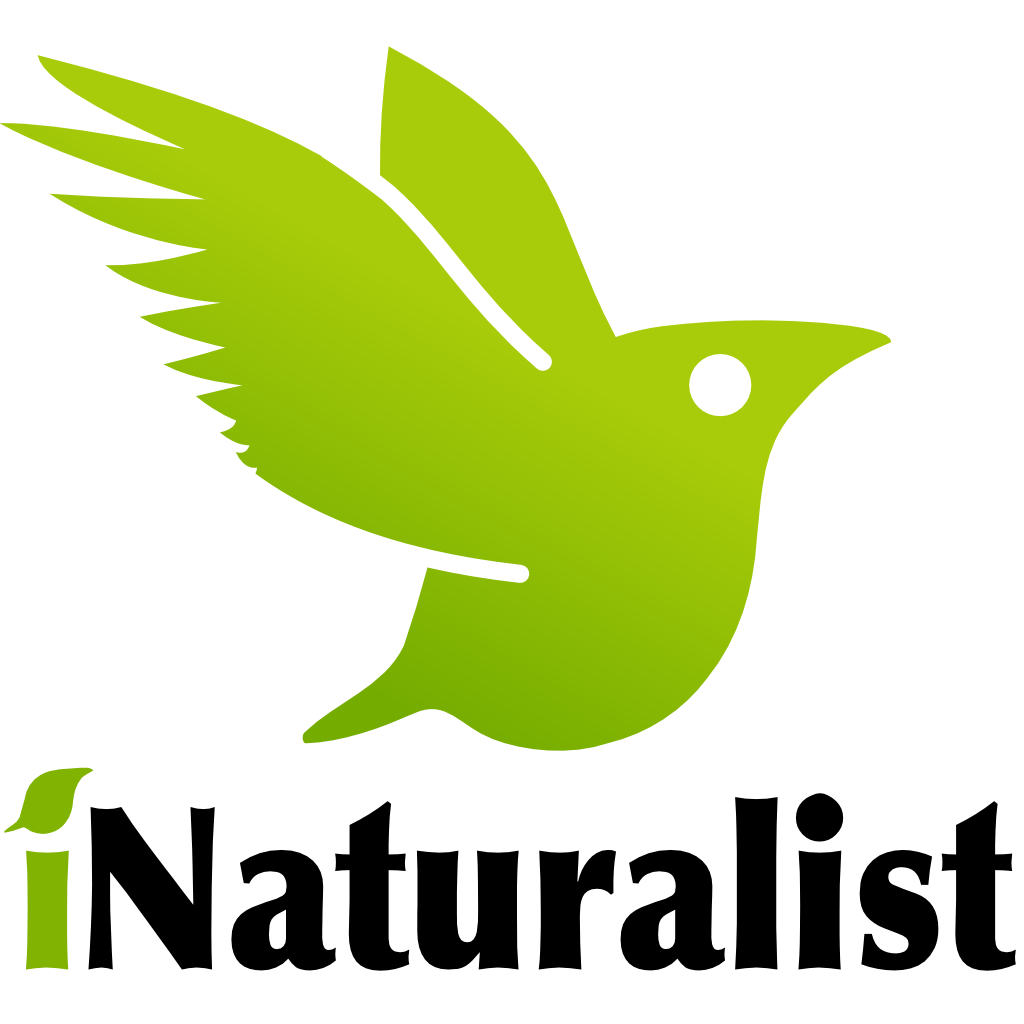 iNaturalist logo