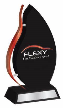 FLEXY Award logo and link